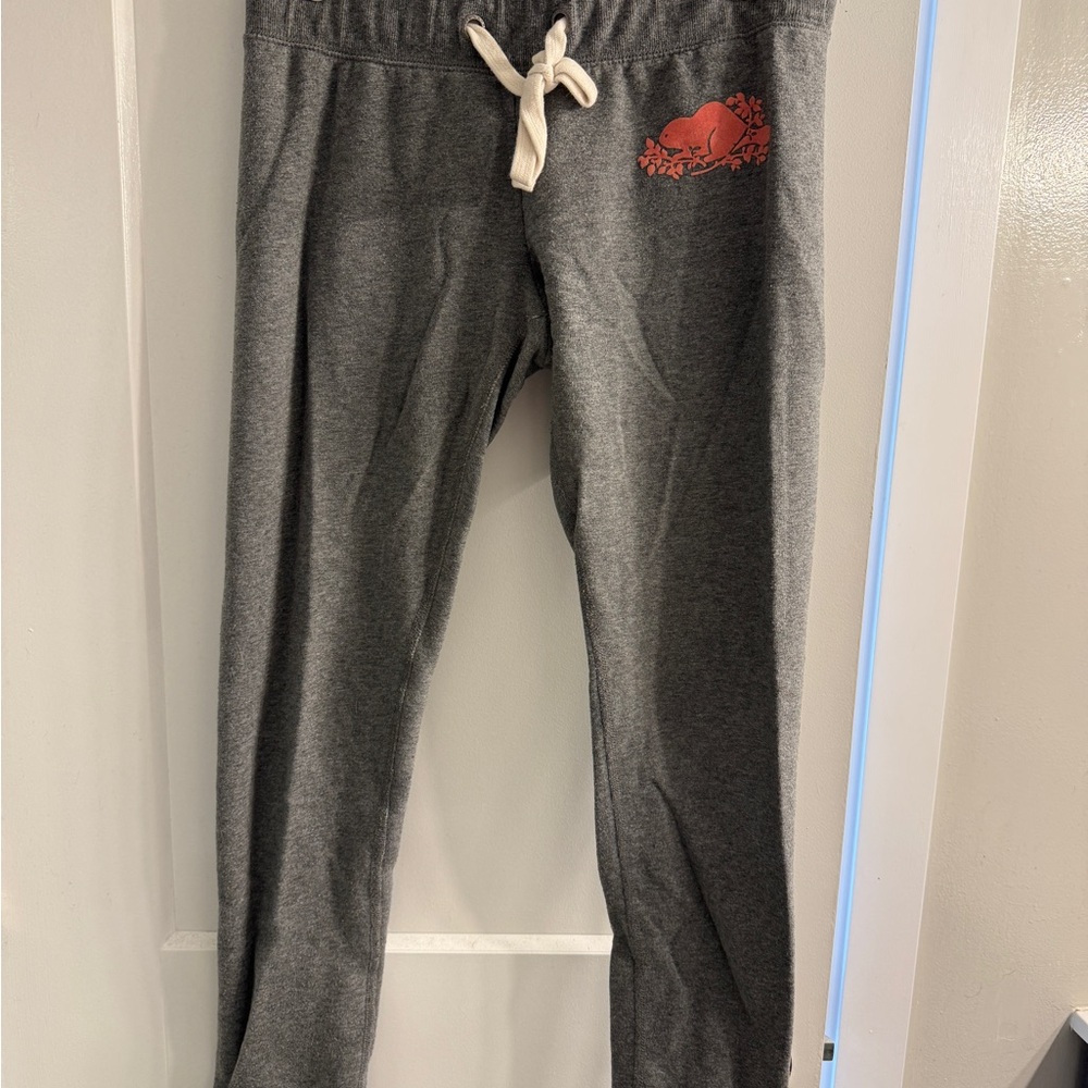 Roots skinny joggers